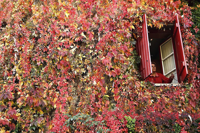 خانه ای زیبا