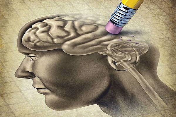 دانشمندان ساختار بازیابی خاطرات را در مغز کشف کرده اند دانشمندان ساختار بازیابی خاطرات را در مغز کشف کرده اند