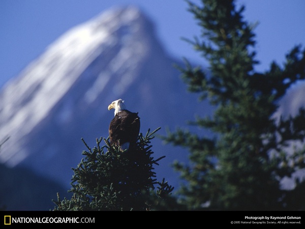 از نشنال جئوگرافیک(عکس)