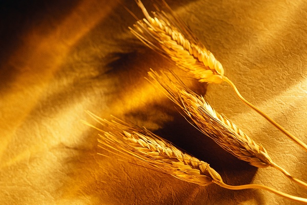 این تصاویر زیبا را ببینید!