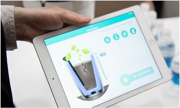 گلدانی که به گیاهان آب هم میدهد+تصاویر گلدانی که به گیاهان آب هم میدهد+تصاویر