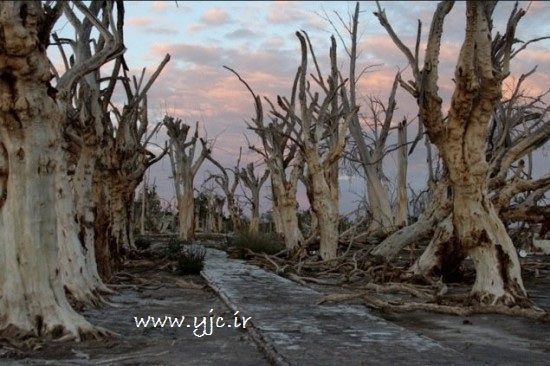 شهری که 25 سال زیر آب بود (+عکس)