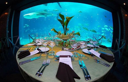 بزرگترین آکواریوم جهان در آمریکا (+عکس)