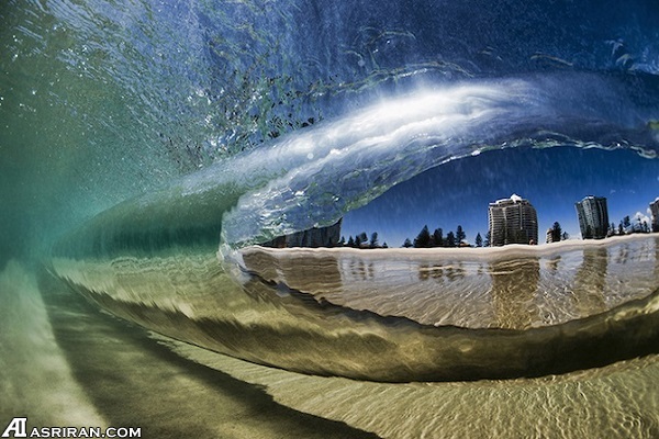 گوشهای از دنیای شگفت انگیز زیر آب گوشهای از دنیای شگفت انگیز زیر آب