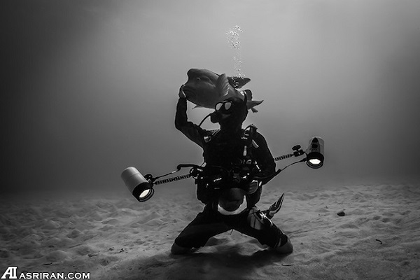 گوشهای از دنیای شگفت انگیز زیر آب گوشهای از دنیای شگفت انگیز زیر آب