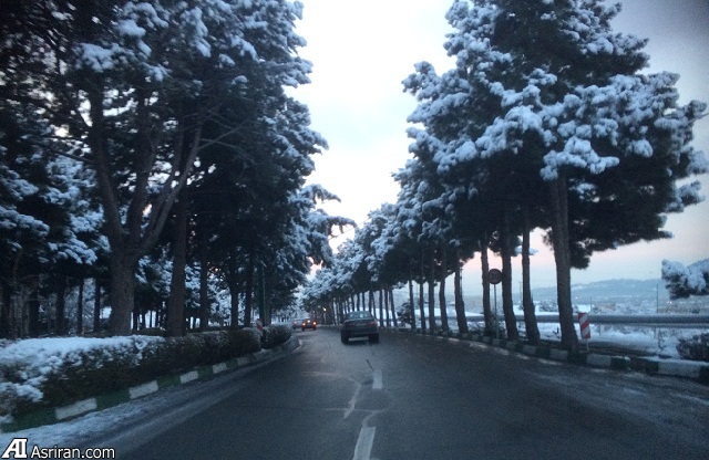 اولین برف زمستانی در تهران (عکس)