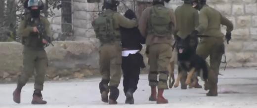 جنایت جدید اسرائیلی ها: نوجوان فلسطینی جلوی سگ انداخته شد