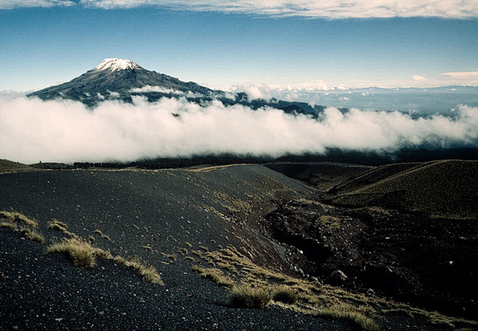 مناظر دیدنی(عکس)