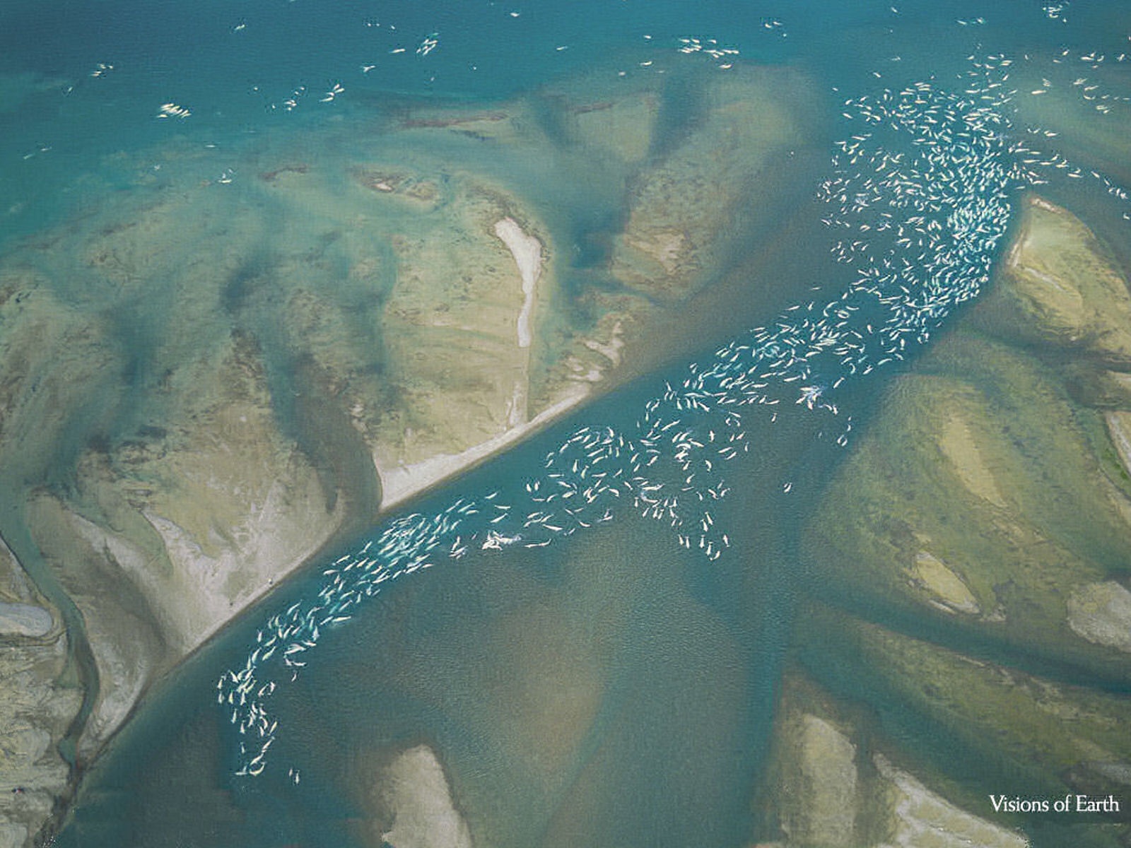 مناظر دیدنی(عکس)