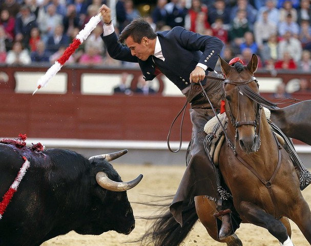 دیدنی های امروز