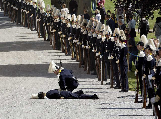 دیدنی های امروز