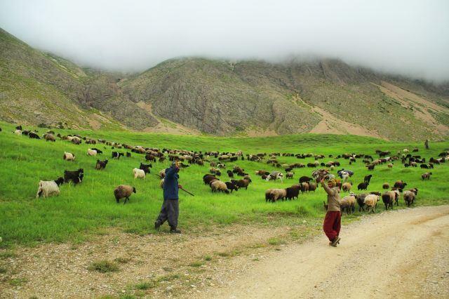 بهشتی در نزدیکی پایتخت (عکس)