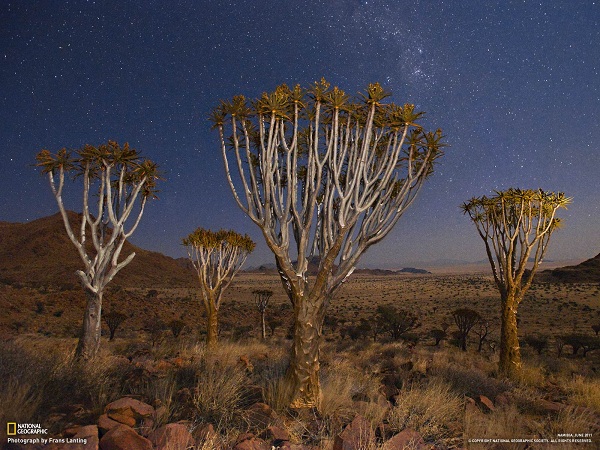 این تصاویر زیبا را ببینید!