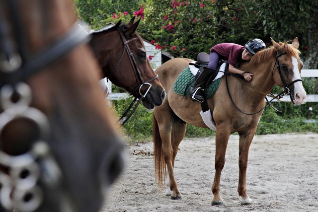 دیدنی های امروز