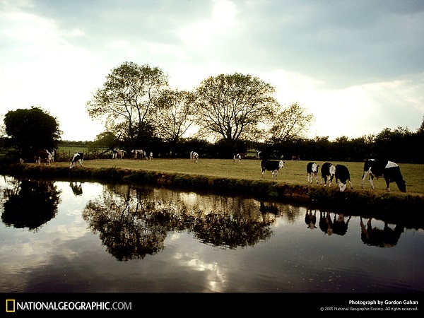 این تصاویر زیبا را ببینید!