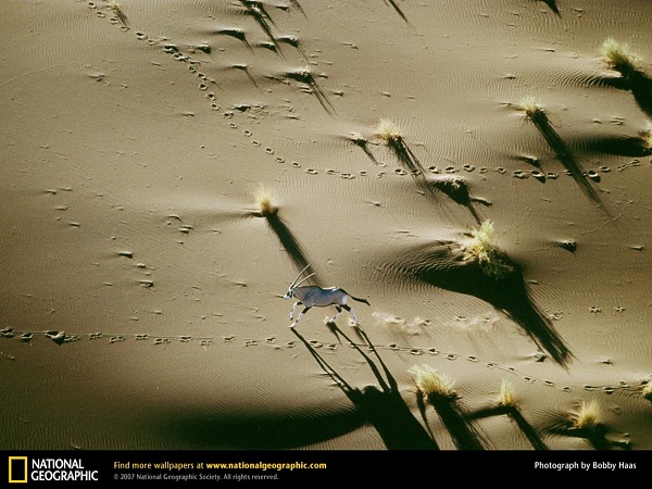 مناظر فوق العاده(عکس)