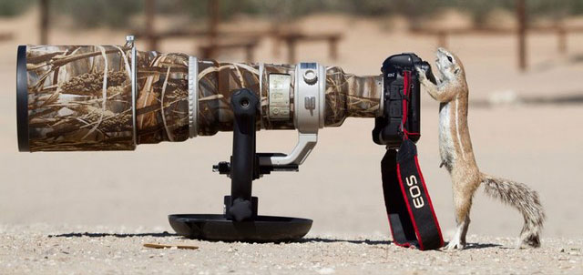 دیدنی های امروز