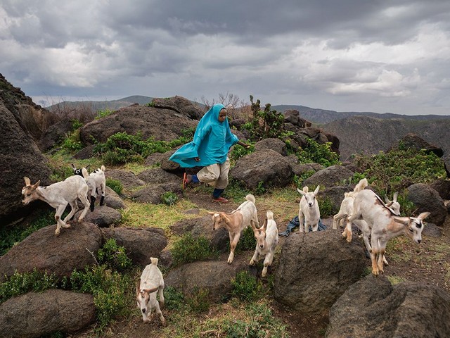 دیدنی های امروز