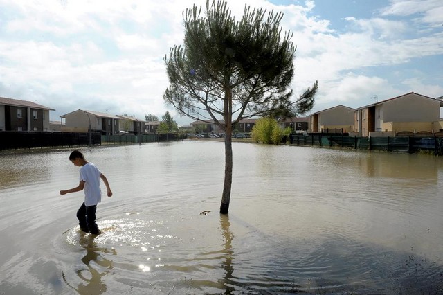 دیدنی های امروز