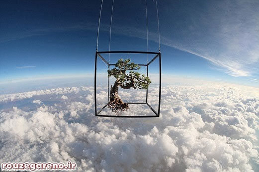 اقدام جالب فرستادن گُل به فضا (+عکس)