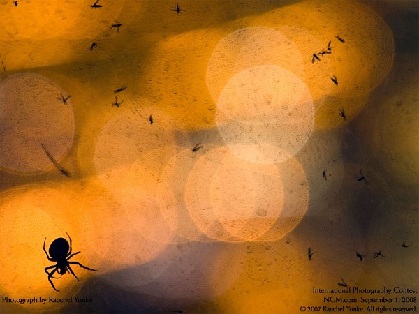 این تصاویر زیبا را ببینید!