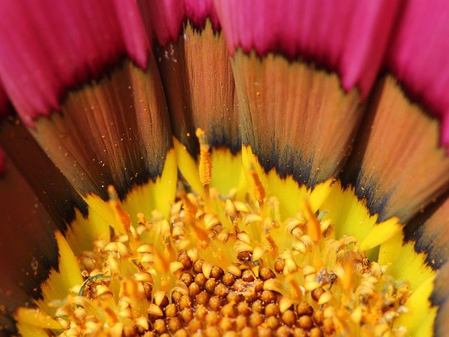 دیدنی های امروز