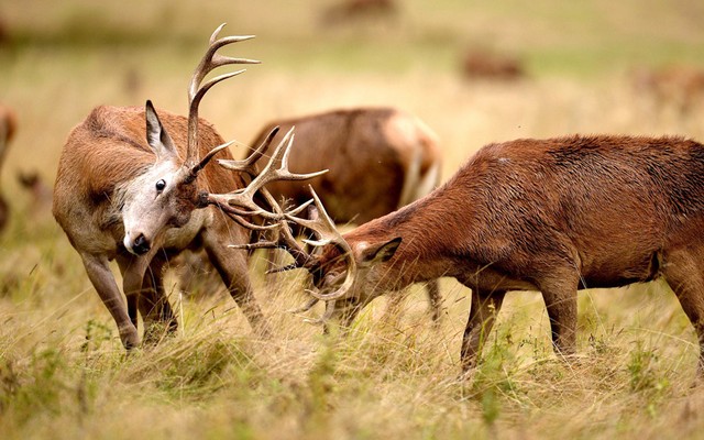 دیدنی های امروز