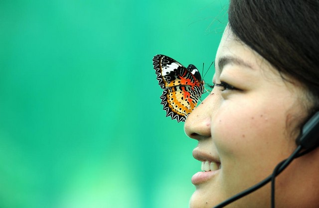 دیدنی های امروز