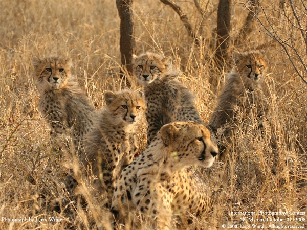 از نشنال جئوگرافیک(عکس)