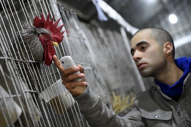 دیدنی های امروز (عکس)