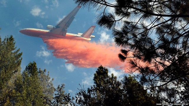 دیدنی های امروز