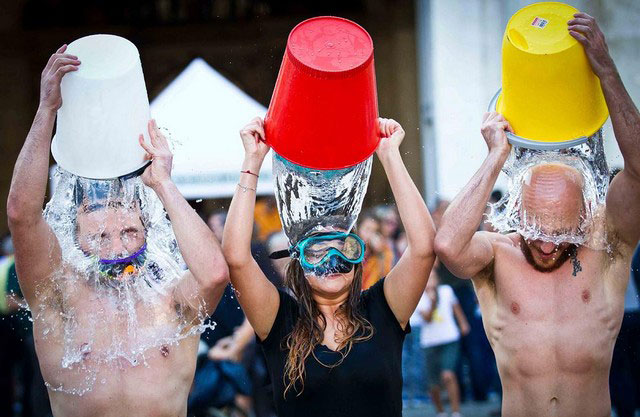 دیدنی های امروز