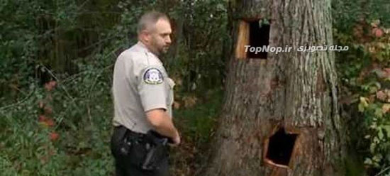 خرس بد شانس! (+عکس)