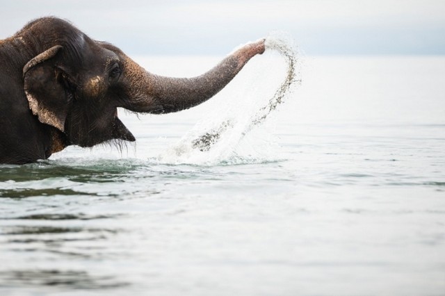 دیدنی های امروز