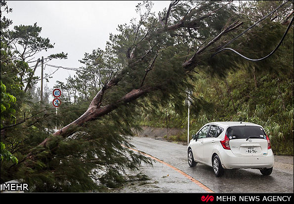 توفان در چین و ژاپن (عکس)