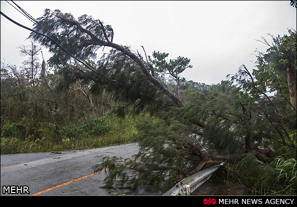 توفان در چین و ژاپن (عکس)