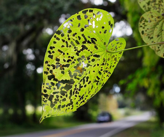 دیدنی های امروز