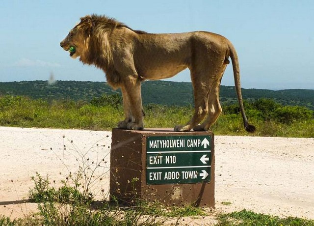 دیدنی های امروز