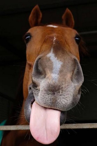 دیدنی های امروز