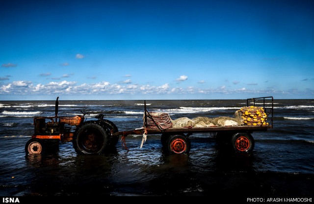 صید ماهی در شمال (عکس)