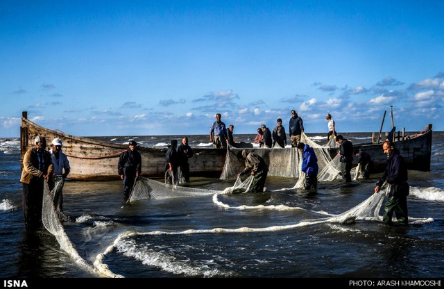صید ماهی در شمال (عکس)