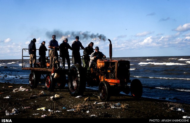 صید ماهی در شمال (عکس)