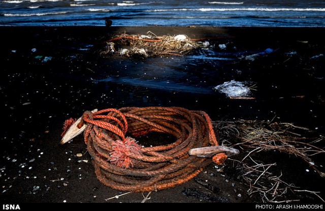 صید ماهی در شمال (عکس)