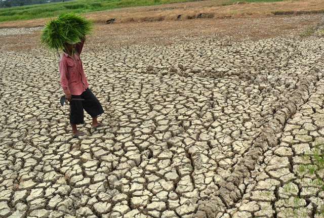 دیدنی های امروز