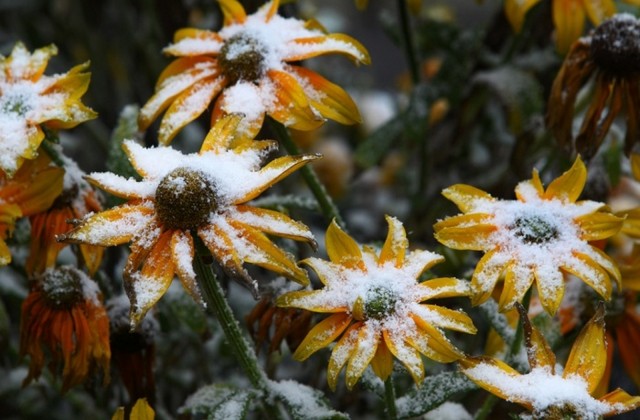 دیدنی های امروز