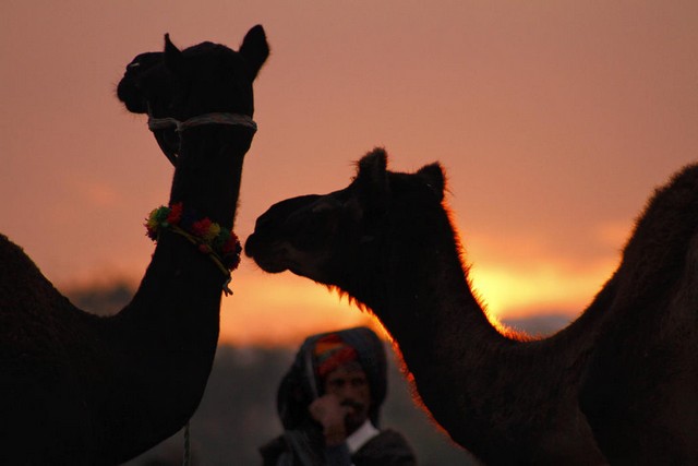 دیدنی های امروز