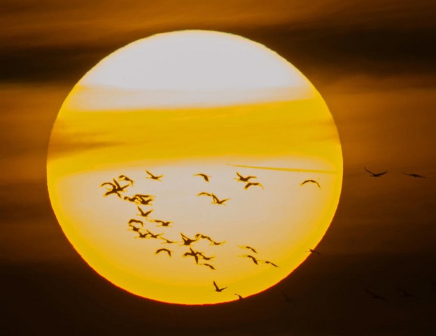 دیدنی های امروز