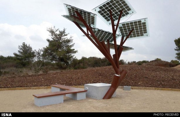 درختی با قابلیت وای‌فای و شارژ تلفن(+عکس)