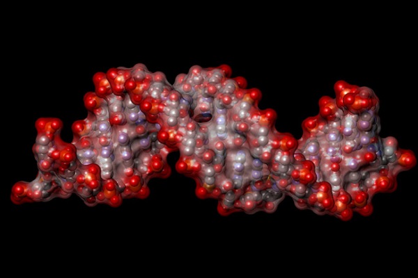 ۷ نظریه در بارهی منشاء حیات بر روی زمین ۷ نظریه در بارهی منشاء حیات بر روی زمین