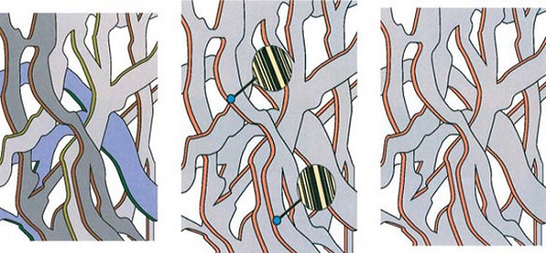 ۷ نظریه در بارهی منشاء حیات بر روی زمین ۷ نظریه در بارهی منشاء حیات بر روی زمین
